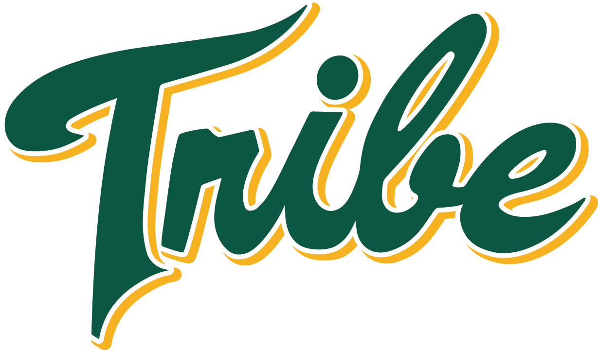 William and Mary Tribe 2016-2017 Alternate Logo diy DTF decal sticker